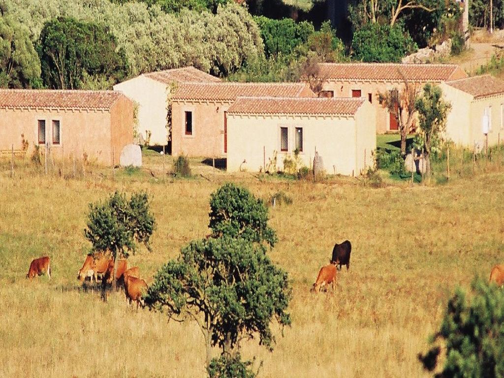 B&B Pubulos Olbia Exterior photo
